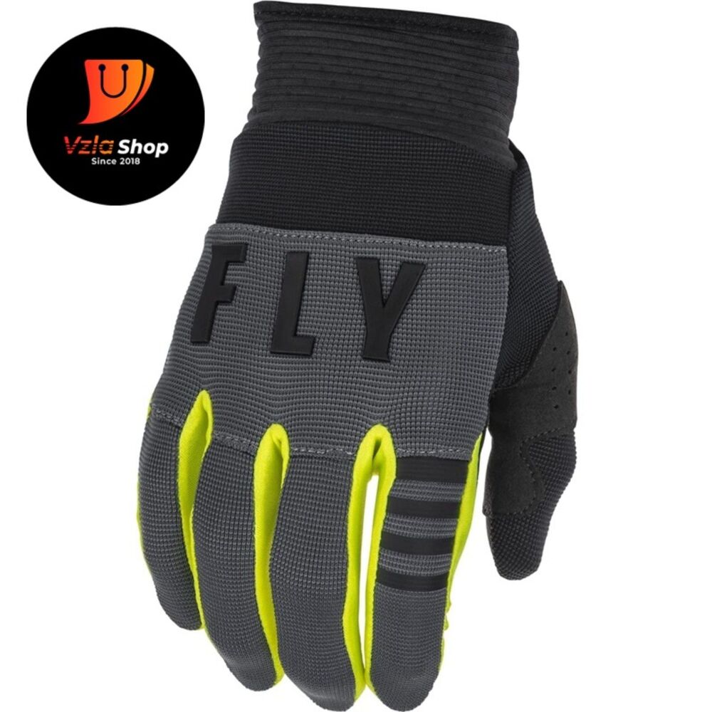 Fly Racing Adult and Youth F-16 Gloves